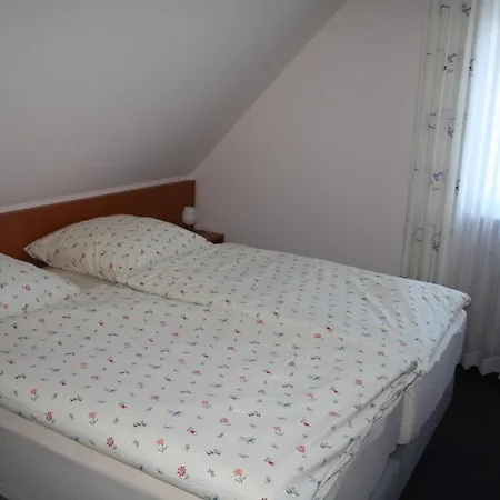 Guest house Engelmann 2*